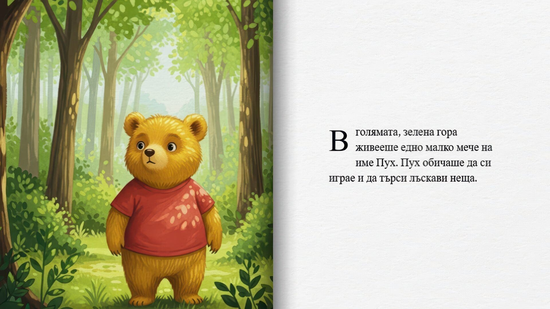Storybook