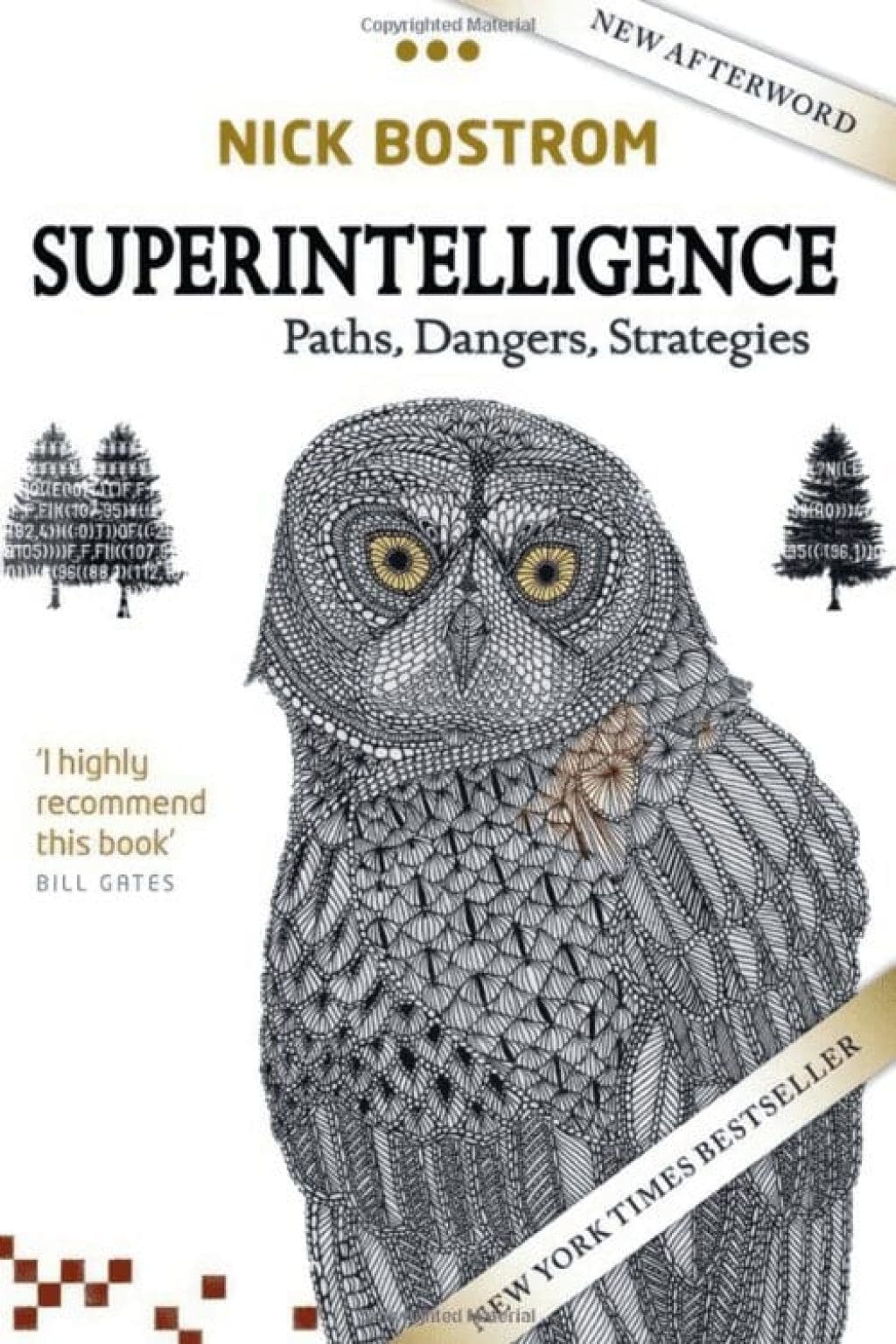 Superintelligence Paths, Dangers, Strategies
